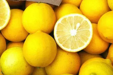 معرفی لیمو شیرین مجلسی + بهترین قیمت خرید